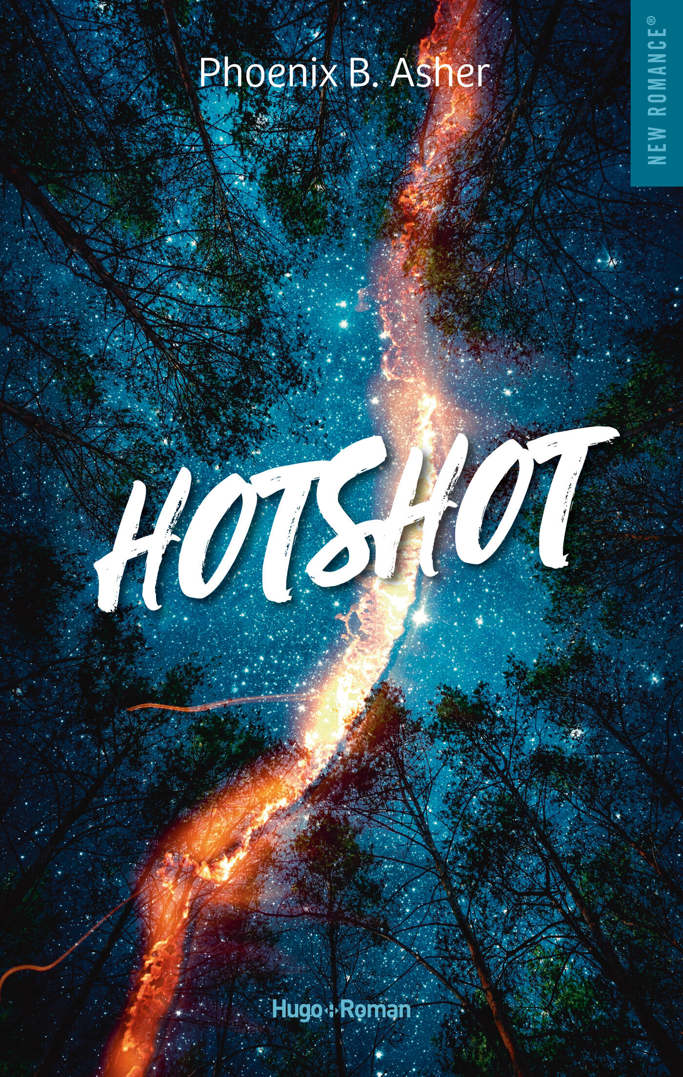 Couverture du livre Hotshot.