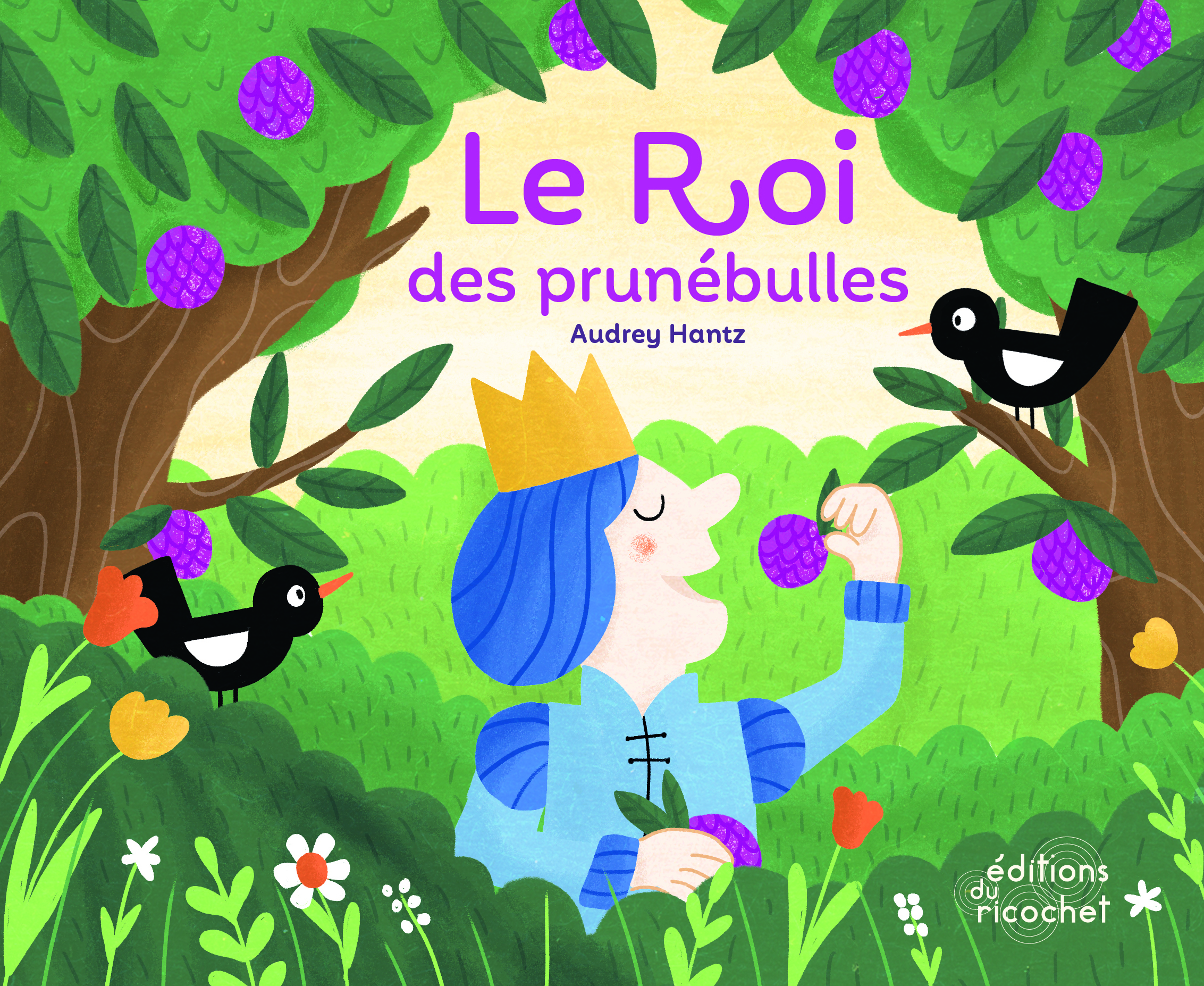 Couverture du livre le roi des prunébulles.